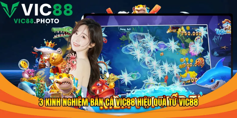 Kinh Nghiệm Bắn Cá Vic88 - Cách Chơi Hiệu Quả Thắng 2026 2 3 kinh nghiệm bắn cá Vic88 hiệu quả từ Vic88